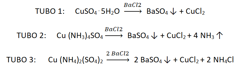 reacciones ensayo bacl2