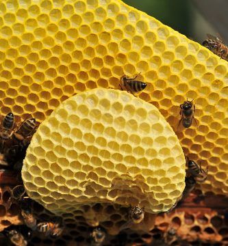 cera de abeja