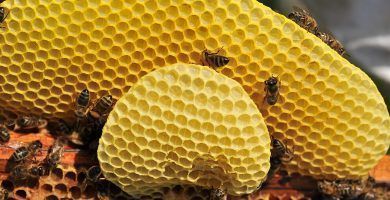 cera de abejas 500 g adecuada para cosméticos color amarillo Cera de abeja orgánica de LM cera de abeja natural fabricación de velas y cuidado de piel y madera 