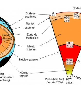 trabajo xenon