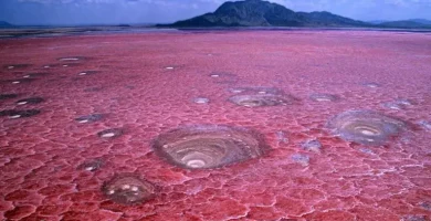 lago natron