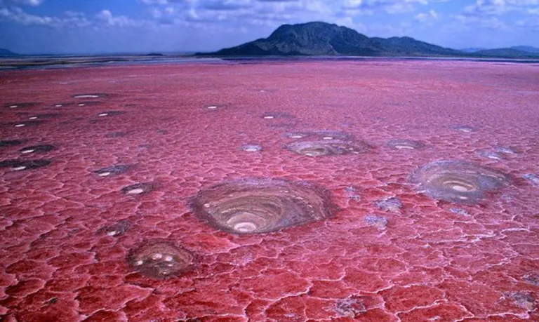 lago natron